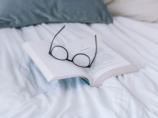 Literature Review