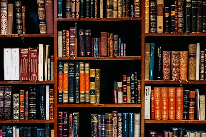 Literature Search