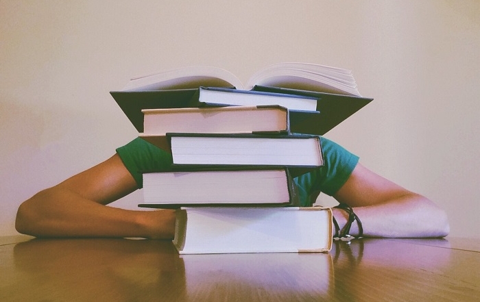 Literature Review