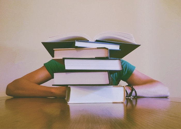 Literature Review