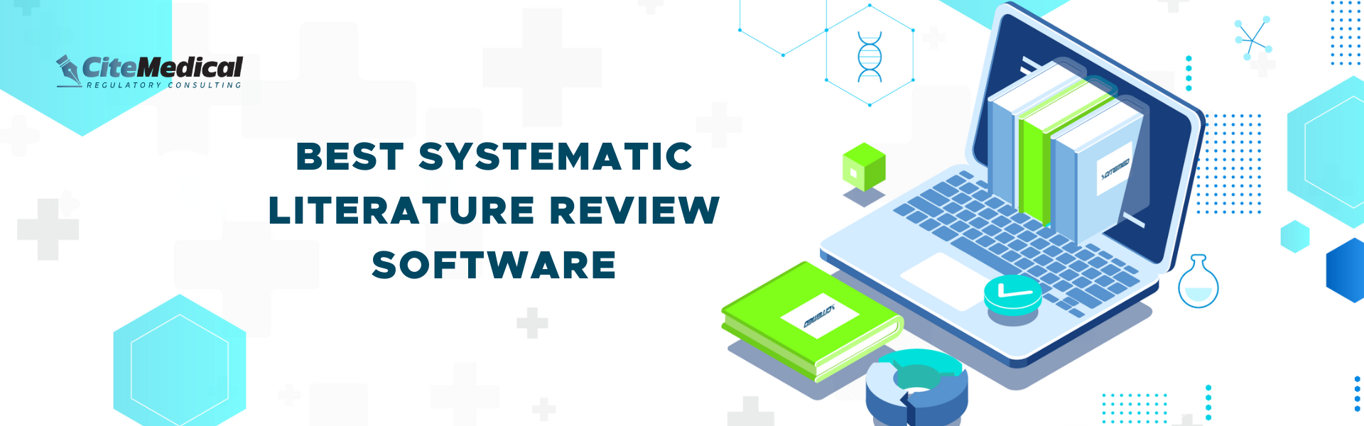 systematic literature review software