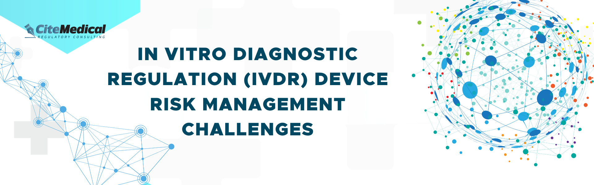 In Vitro Diagnostic Regulation